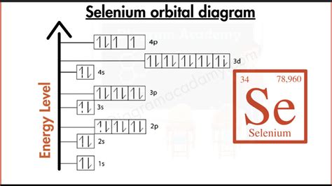 selenium orbital diagram|what does orbital mean.
